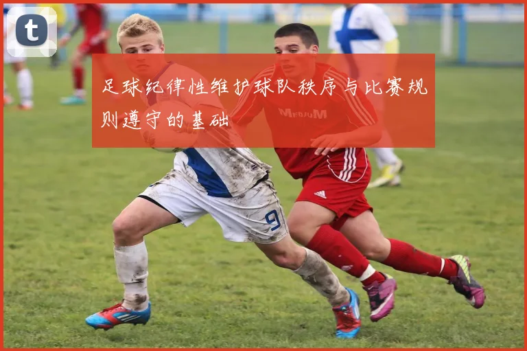 足球纪律性维护球队秩序与比赛规则遵守的基础